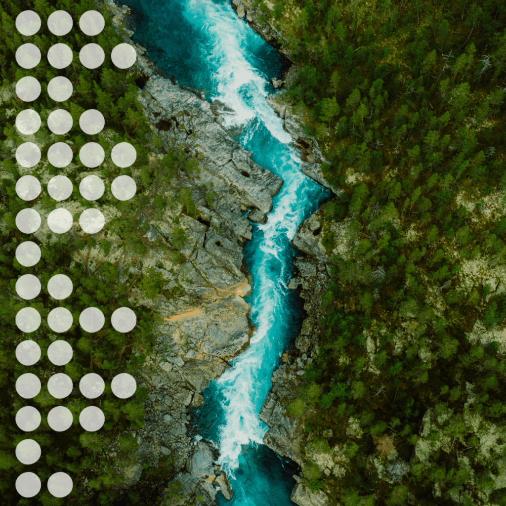 2025 Investor Sustainability Pulse Feature Image