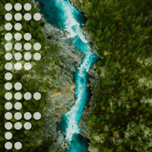 2025 Investor Sustainability Pulse Feature Image