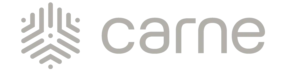Logo for Came: a geometric, crown-like icon to the left of the word ‘came’ in light gray.